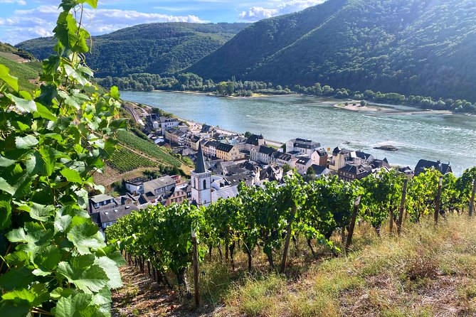 Rhine Valley Wine Tasting Tour from Frankfurt and Mainz - Key points at a glance