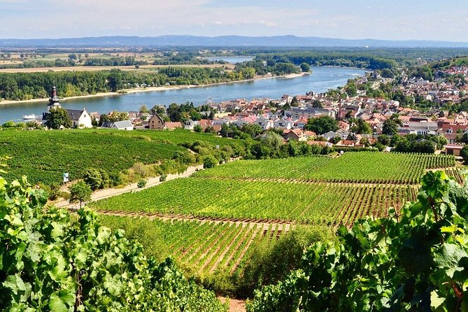 Rhine Valley Wine Tasting Tour from Frankfurt and Mainz - Why this Rhine wine day works so well