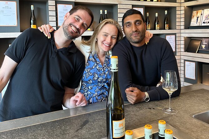 Rhine Valley Wine Tasting Tour from Frankfurt and Mainz - Rüdesheim, villages, and vineyard views