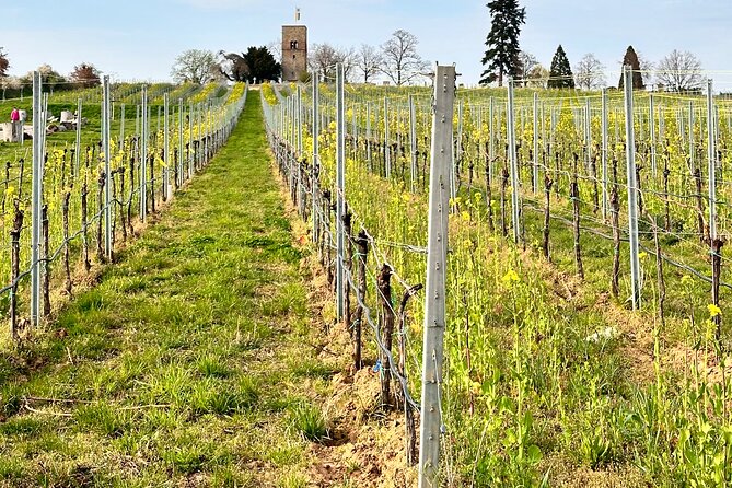 Rhine Valley Wine Tasting Tour from Frankfurt and Mainz - Lunch with wine tapas