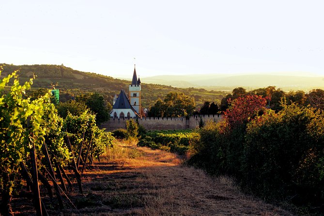 Rhine Valley Wine Tasting Tour from Frankfurt and Mainz - The value of a $476.68 price