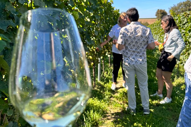 Rhine Valley Wine Tasting Tour from Frankfurt and Mainz - Buying wine and sending it home