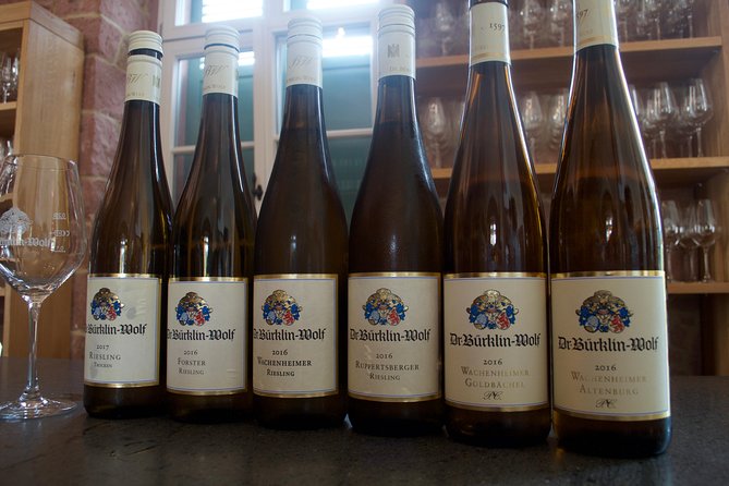 Rhine Valley Wine Tasting Tour from Frankfurt and Mainz - From Frankfurt or Mainz into the Rheingau