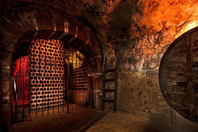 Ribera del Duero Underground Cellar & Wine Tasting Experience - Tasting small-producer Ribera del Duero wines