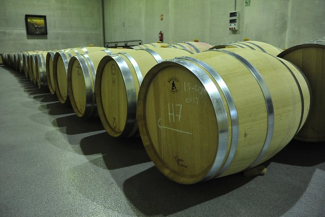 Ribera del Duero Wineries Guided Tour & Wine Tasting from Madrid - Lunch in Roa Is Flexible, Not Included