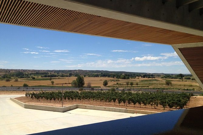 Ribera del Duero Wineries Guided Tour & Wine Tasting from Madrid - Is $223.82 Fair for This Wine Day?