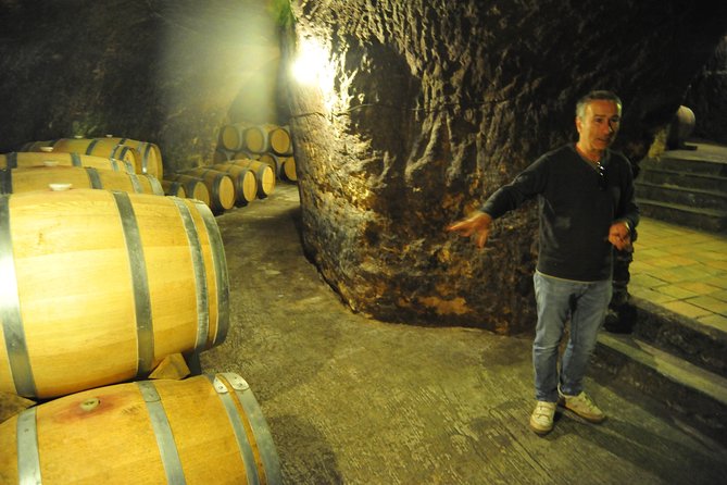 Ribera del Duero Wineries Guided Tour & Wine Tasting from Madrid - The Long Ride Back to Madrid