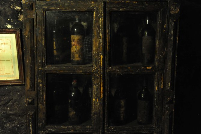 Ribera del Duero Wineries Guided Tour & Wine Tasting from Madrid - Who Should Book This Ribera del Duero Tour?