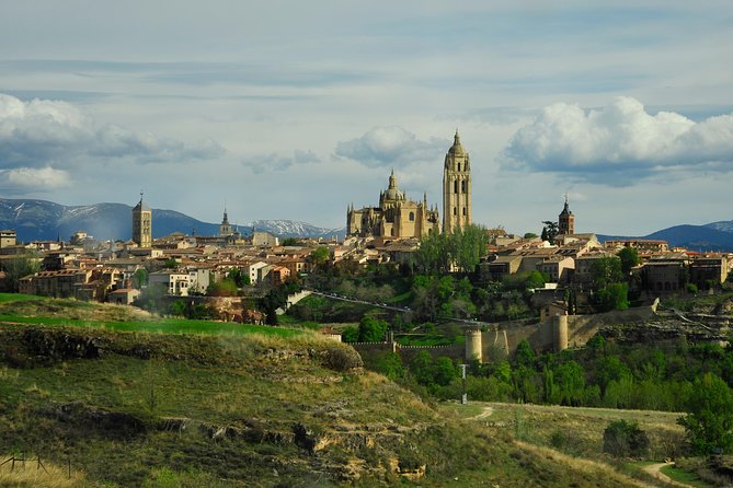 Ribera del Duero Wineries Guided Tour & Wine Tasting from Madrid - What the Guides Add to the Day