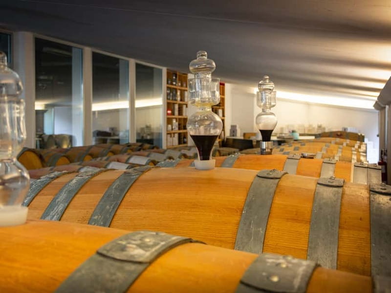 Rimini: San Valentino DOC Wine Tastings - Local food makes the wines easier to understand