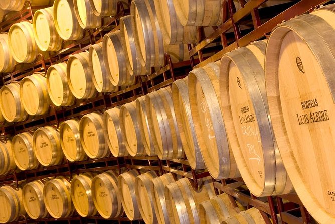 Rioja Wine Tour: 2 Wineries From Bilbao - Laguardia: pintxos, village streets, and a welcome pause