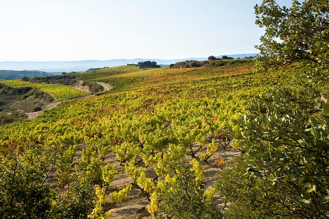 Rioja Wine Tour: 2 Wineries From Bilbao - Booking details that matter
