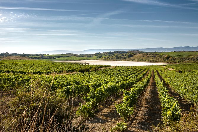 Rioja Wine Tour: 2 Wineries From Bilbao - First winery: two hours of wine, cellars, and local detail