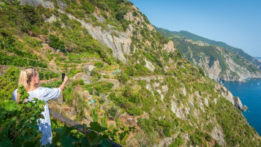 Riomaggiore: Vineyard & Wine Cellar Tour with Wine Tasting - Why this vineyard visit feels different from a standard wine tasting