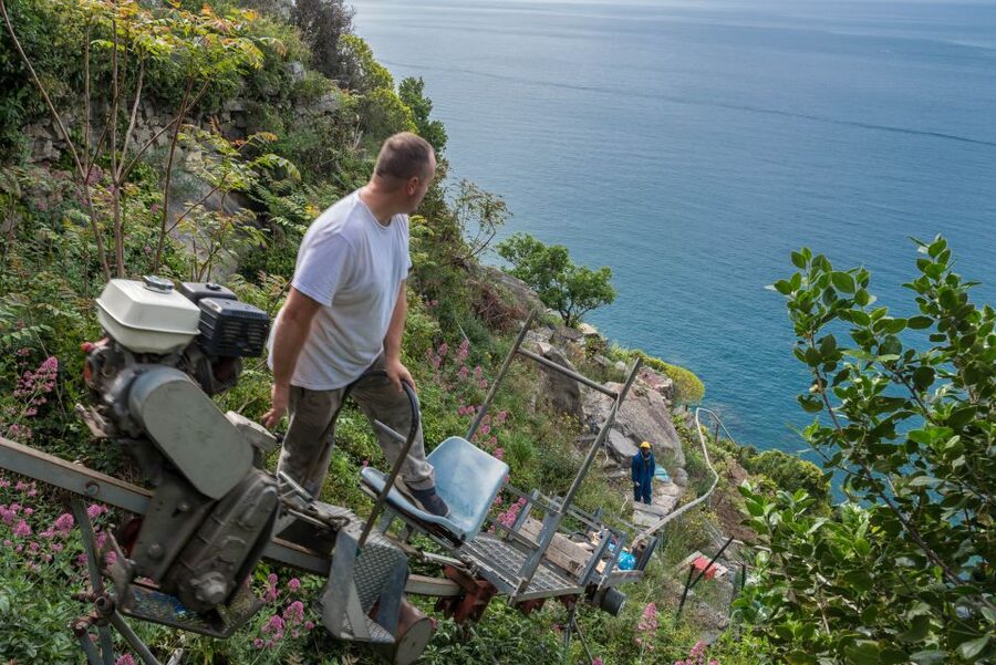 Riomaggiore: Vineyard & Wine Cellar Tour with Wine Tasting - Timing, transport, and what to bring