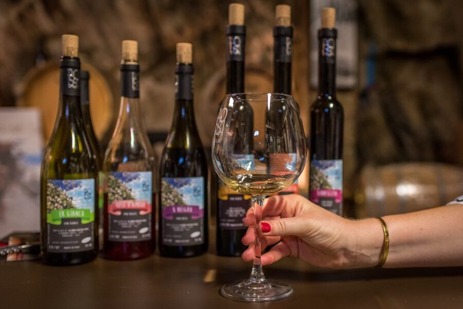 Riomaggiore: Vineyard & Wine Cellar Tour with Wine Tasting - Meeting your guide and walking up from Riomaggiore station