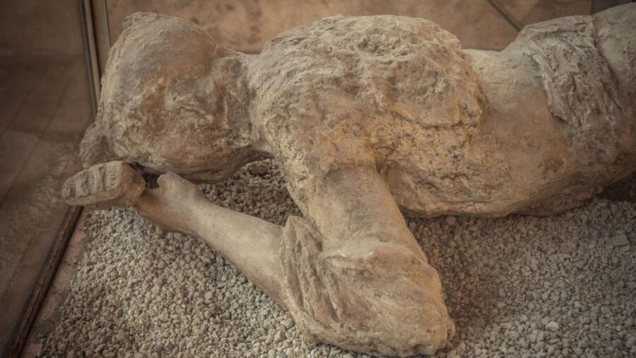 Rome: Pompeii Tour with Wine and Lunch by High Speed Train - Why the train makes Pompeii possible from Rome