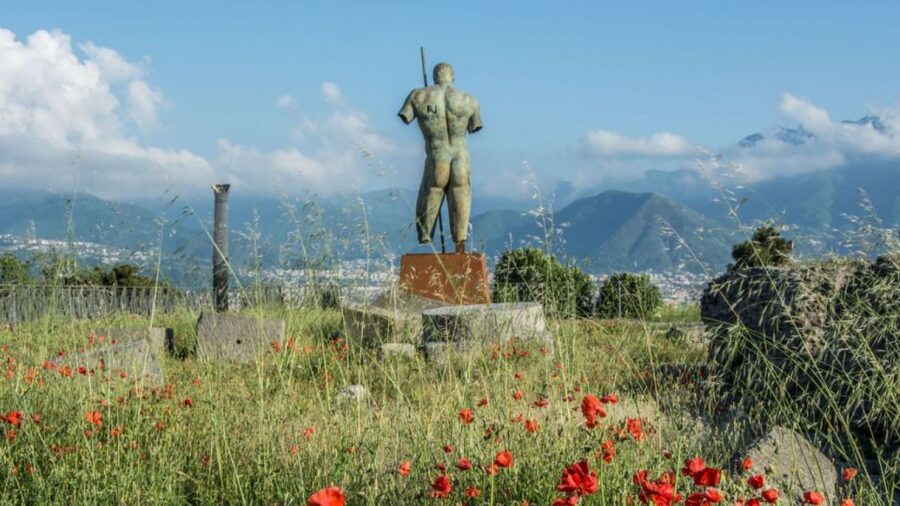 Rome: Pompeii Tour with Wine and Lunch by High Speed Train - Walking into the city preserved by ash