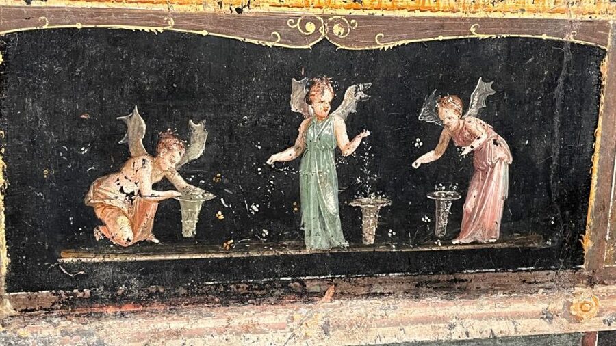 Rome: Pompeii Tour with Wine and Lunch by High Speed Train - A vineyard near Vesuvius after the ruins