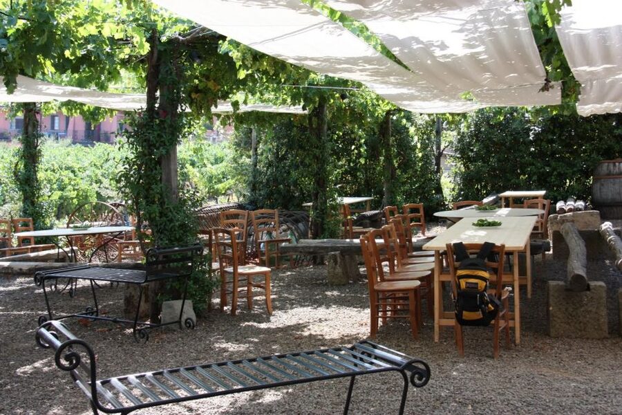 Rome: Private Castelli Romani Wine Tasting Tour - Practical tips for a smoother outing