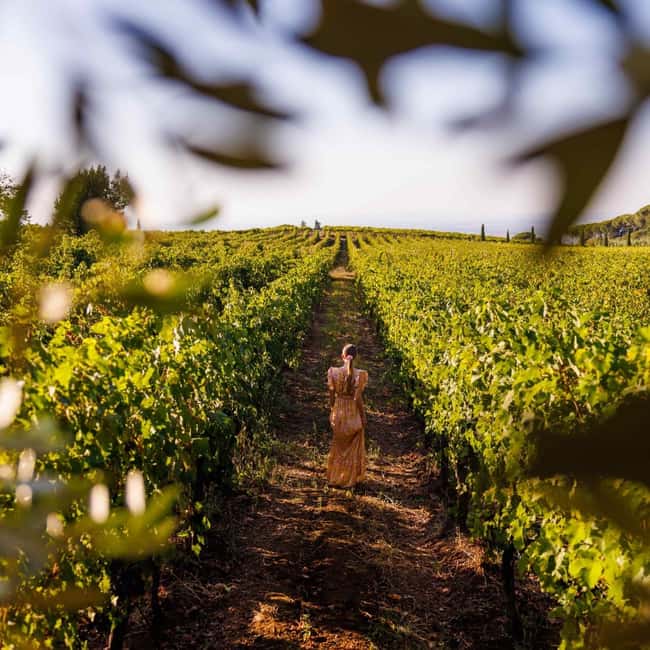 Rome: Private Castelli Romani Wine Tasting Tour - Three wines that show the region’s range