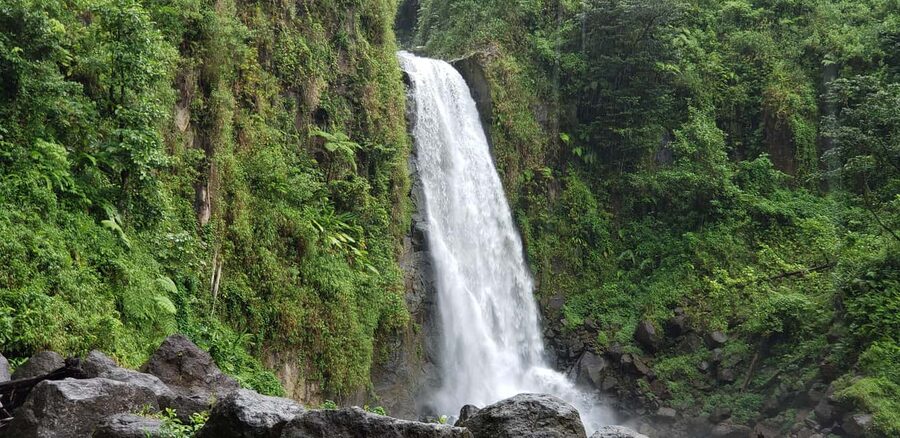 Roseau: Titou Gorge, Hot Spring, Falls & Champagne Reef Tour - Key points to know before booking