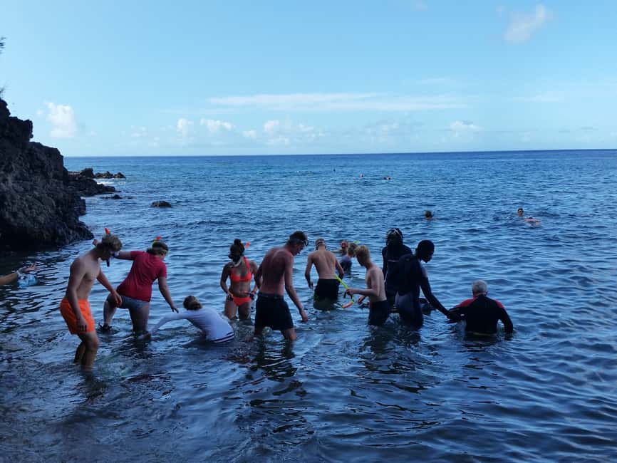 Roseau: Titou Gorge, Hot Spring, Falls & Champagne Reef Tour - Titou Gorge is the day’s biggest thrill
