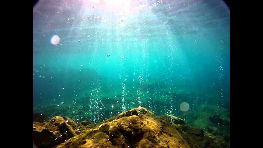 Roseau: Titou Gorge, Hot Spring, Falls & Champagne Reef Tour - Tia Hot Spa slows the pace