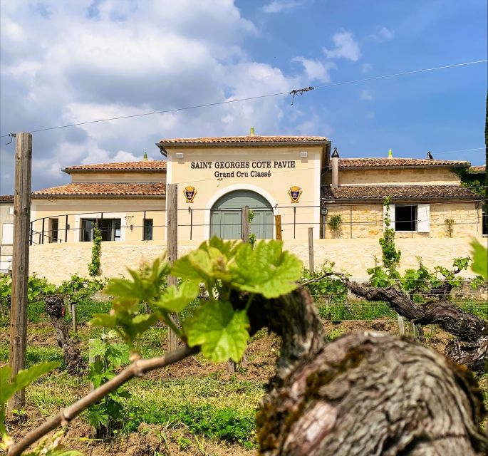 Saint-Émilion: Bordeaux Vineyard Tour and Wine Tasting - Three wines, three chances to pay attention