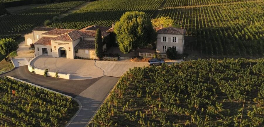 Saint-Émilion: Bordeaux Vineyard Tour and Wine Tasting - Should you book Château Saint-Georges Côte Pavie?