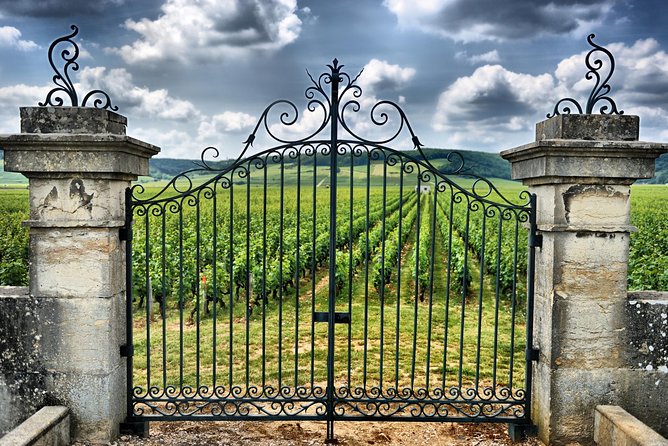 Saint Emilion Day Trip with Sightseeing Tour & Wine Tastings from Bordeaux - Who will enjoy this day most?
