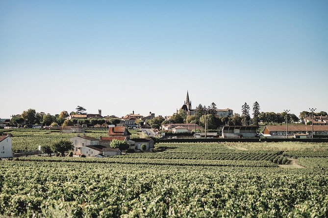 Saint-Emilion Electric Bike Day Tour with Wine Tastings & Lunch - The second ride and Les Domaines de Moncets
