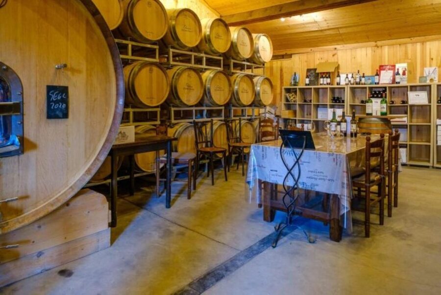 Saint-Émilion: Family Vineyard Visit with Wine Tasting - Why the $18 Price Works