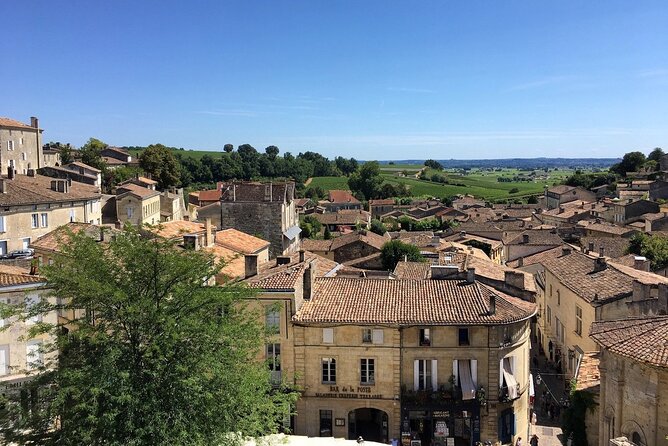 Saint Emilion Full Day Wine and Bike Tour - First château: wine, a vineyard view, and lunch