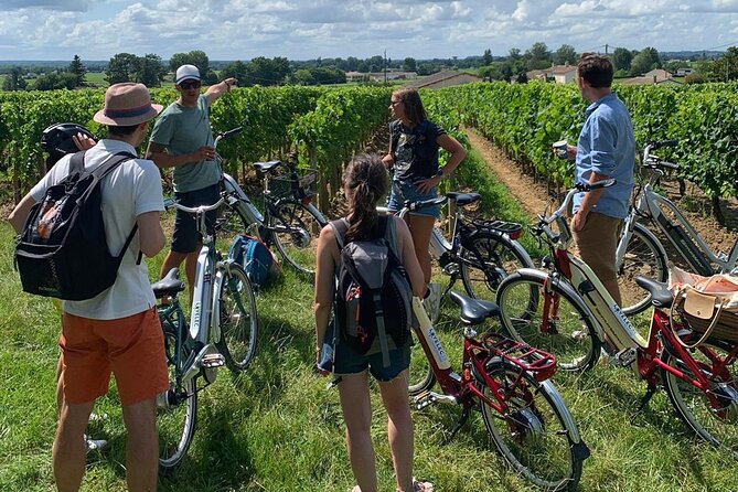 Saint Emilion Full Day Wine and Bike Tour - What the $216.56 price really covers