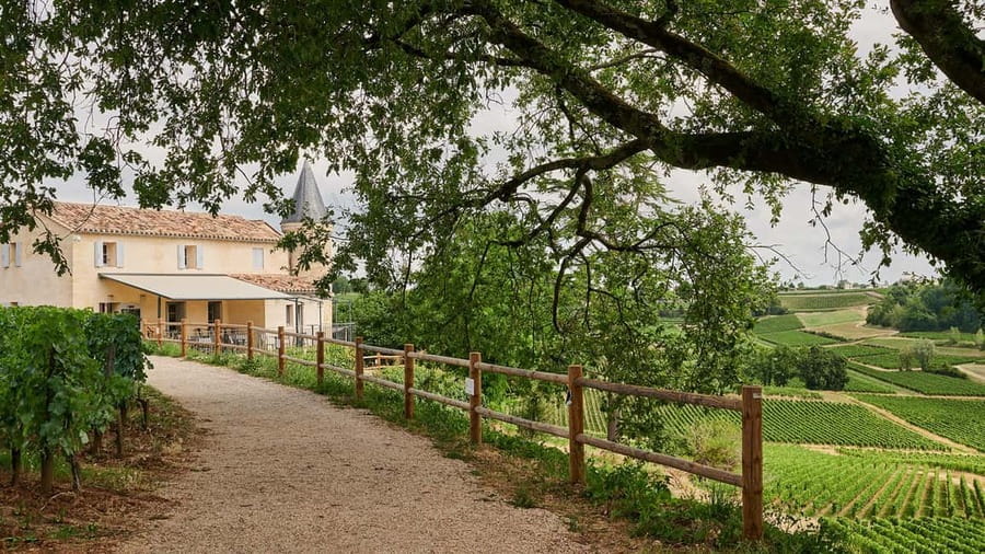 Saint-Emilion: Grand Cru Classé Guided Winery Visit & Picnic - The picnic is more than a tasting-room snack