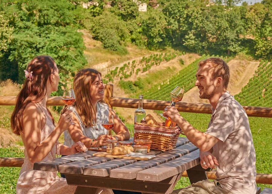 Saint-Emilion: Grand Cru Classé Guided Winery Visit & Picnic - La Croizille and the panoramic tasting