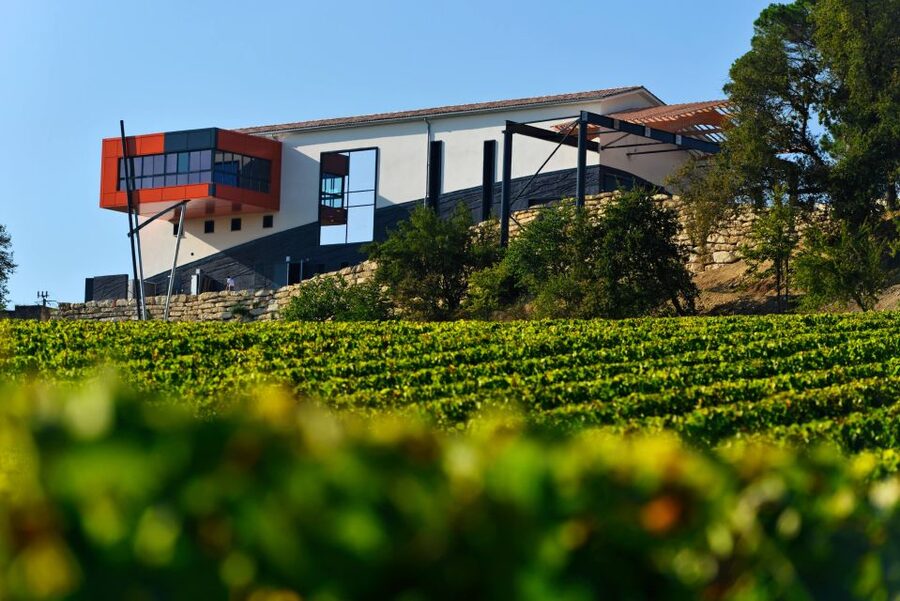 Saint-Émilion: Grand Cru Classé Winery Visit and Tasting - What the three-wine tasting teaches you