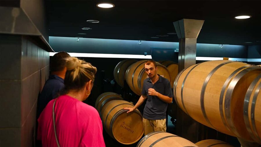 Saint-Émilion: Grand Cru Classé Winery Visit and Tasting - Who will enjoy this tour most