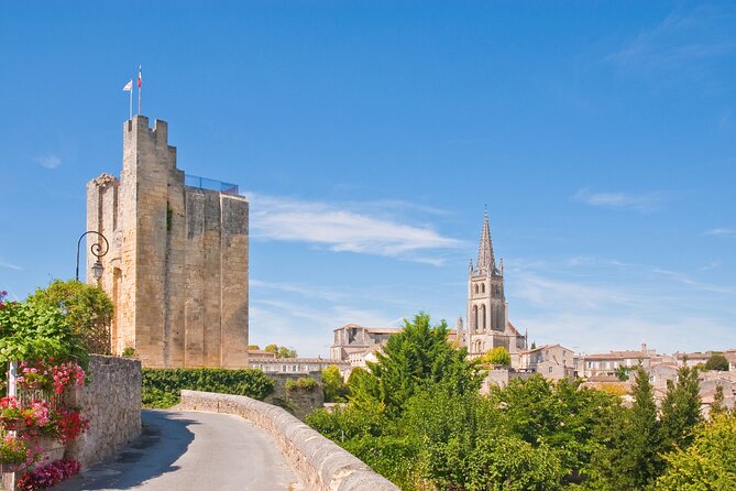 Saint Emilion Half-Day Trip with Wine Tasting & Winery Visit from Bordeaux - Who should book this half-day outing?