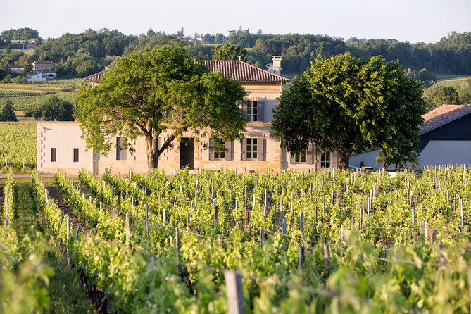 Saint Emilion Half-Day Trip with Wine Tasting & Winery Visit from Bordeaux - Should you book it?
