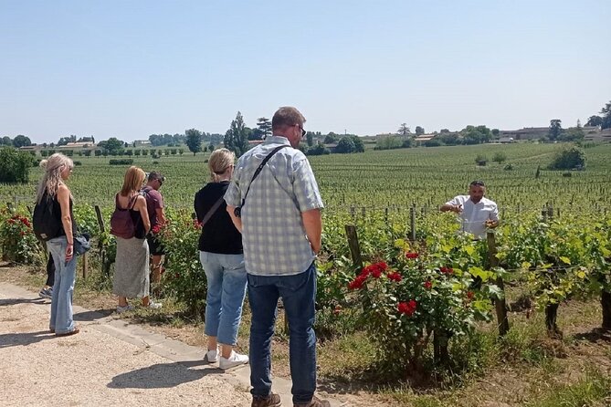 Saint Emilion Morning Wine Tour - Winery & Tastings from Bordeaux - Practical tips for a smoother morning