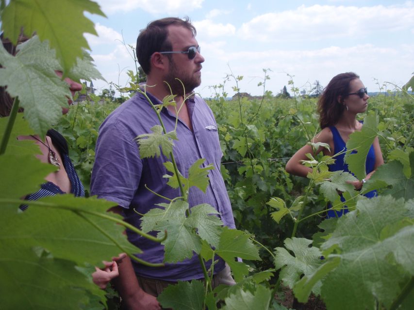 Saint-Émilion: Vineyard Walking Tour and Tasting - Key points at Château Haute-Nauve