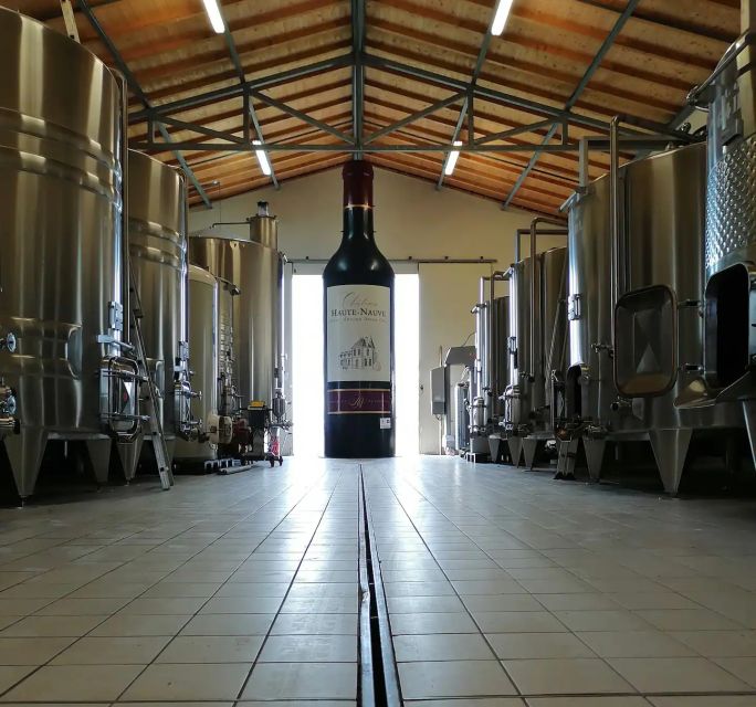 Saint-Émilion: Vineyard Walking Tour and Tasting - A family welcome three kilometers from Saint-Émilion