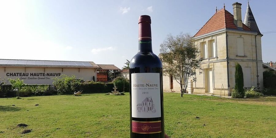 Saint-Émilion: Vineyard Walking Tour and Tasting - From grapes to fermentation, pumping, and pressing