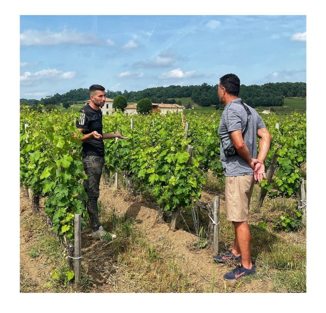 Saint-Émilion: Vineyard Walking Tour and Tasting - Why the $29 price is good value