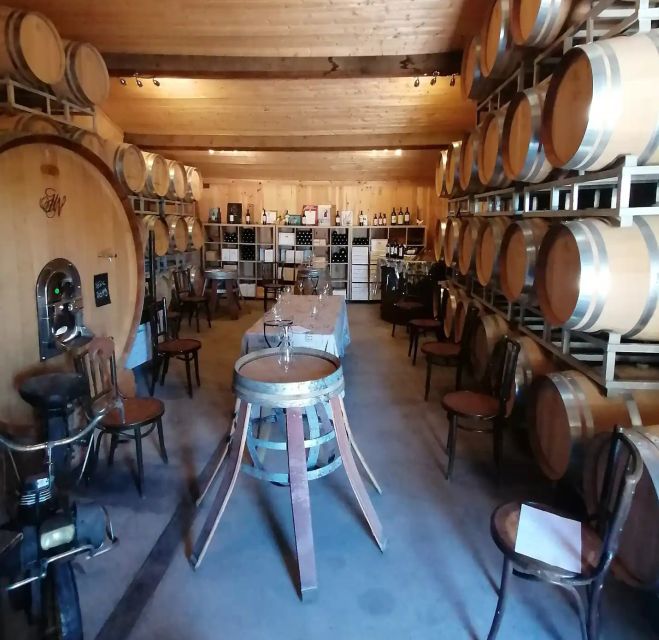 Saint-Émilion: Vineyard Walking Tour and Tasting - Walking through the vines with Florent or Marie-Anne