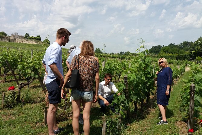 Saint Emilion Wine Tour Tasting Half Day from Bordeaux - Second stop: a family estate with a different character
