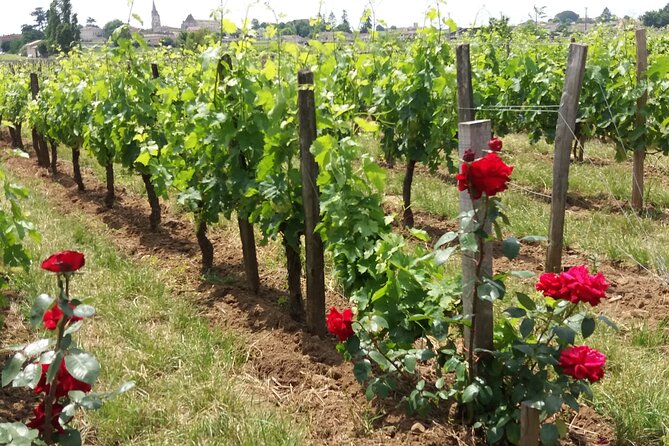 Saint Emilion Wine Tour Tasting Half Day from Bordeaux - Comfort, timing, and practical details