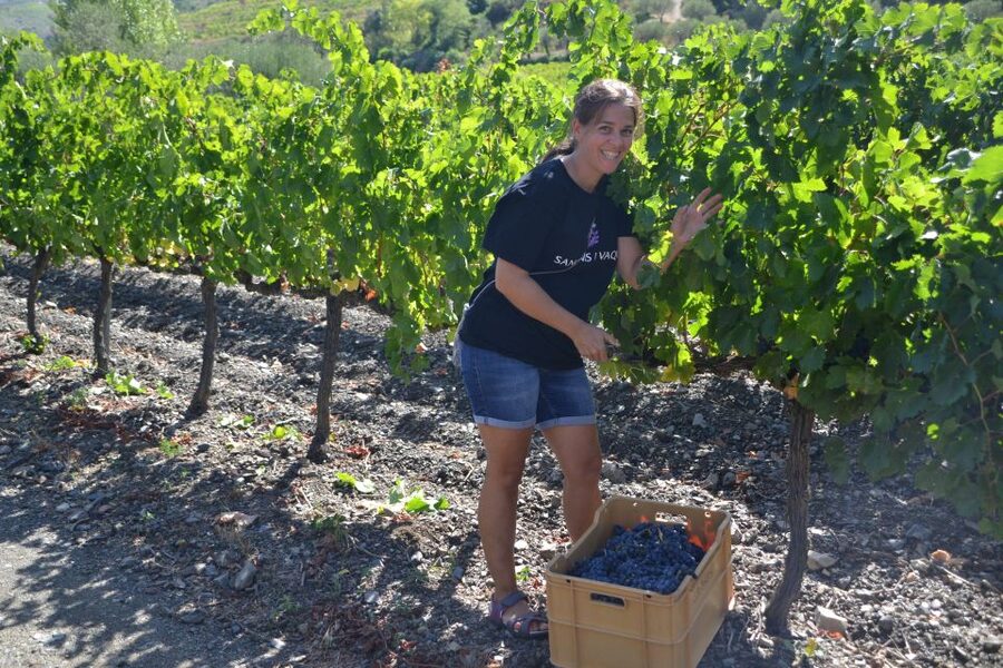 Salou: Easy Bike Tour with Wine Tasting - Two wines, generous pours, and buying a bottle
